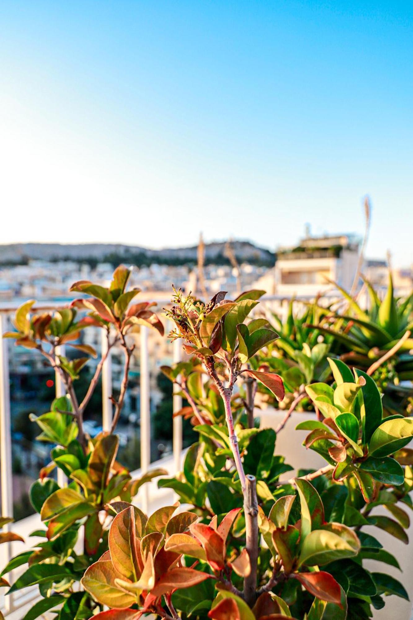 Renovated Apartment With Roof Garden Access, 15 M Walk To Acropolis Athena Bagian luar foto